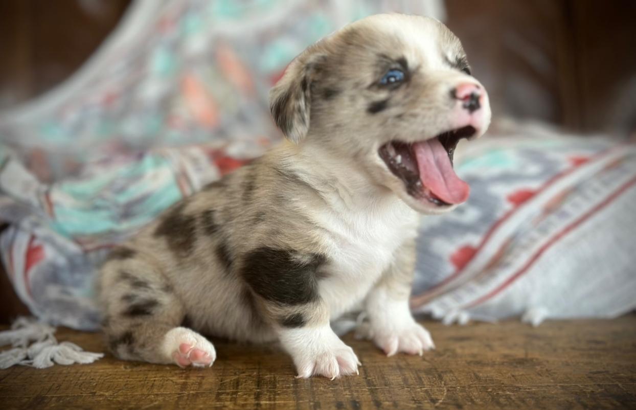 Fenway (m) Ashton’s 7/21