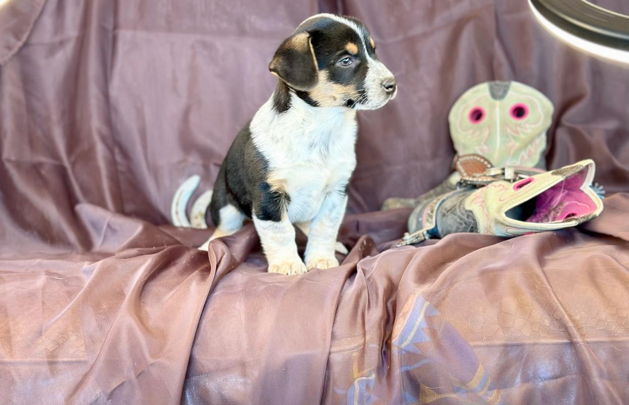 McCall 12/24/23 - 2/16