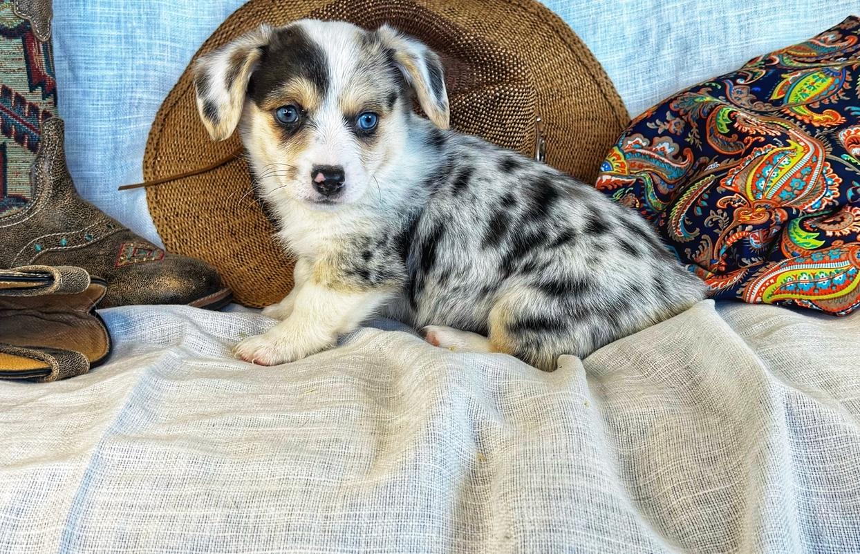 Ririe's 12/29/23 - 2/18