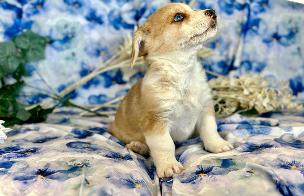 Ririe Flynn (m) 2/18