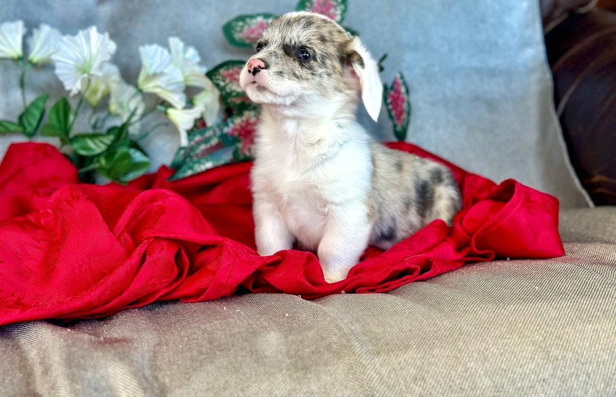 Ashton's 2/21 (posted 2/23)