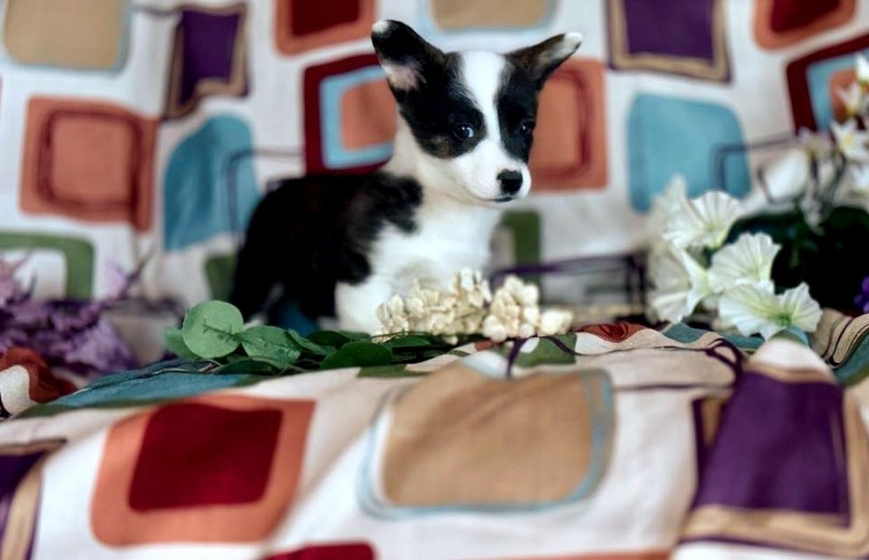 Ashton's 2/22 taken 2/21 then 3/7/24