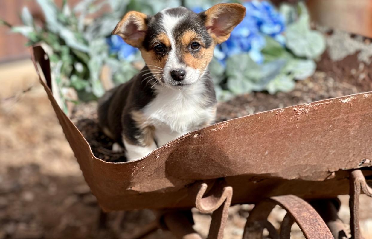 Ashton's 2/24, then 3/10