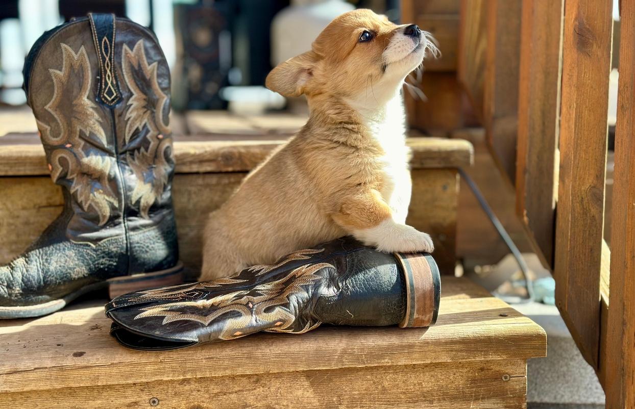 Ashton's 1/1/24 - 2/21, then 3/11