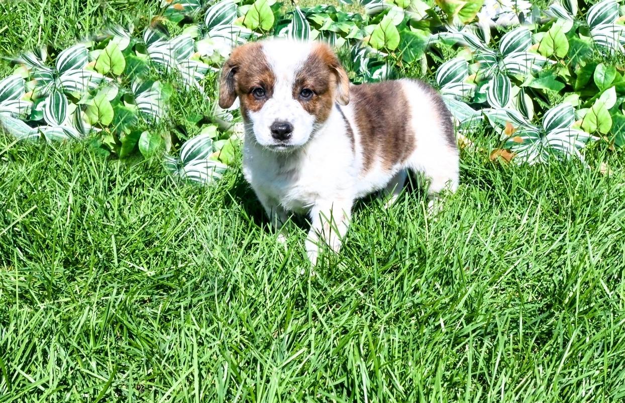 8/24, 8/28 taken 8/26